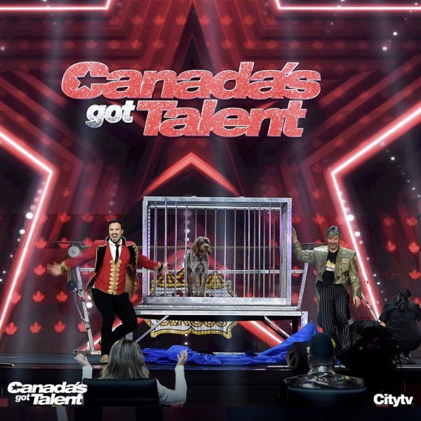The Canine Circus appears on Canada's Got Talent