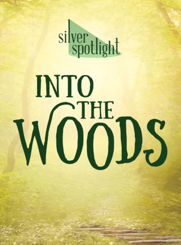 A hazy view of a trail in a forest with a yellow-tinted mist, with 'INTO THE WOODS' in large green text.