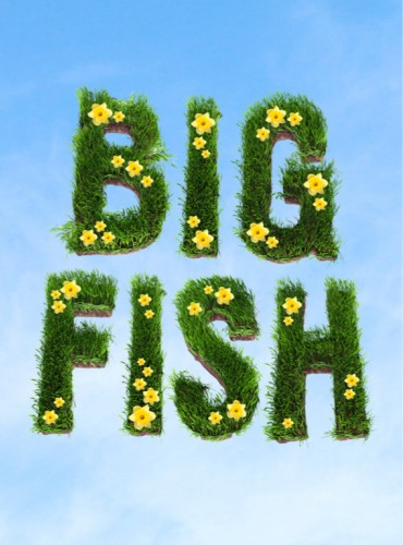 Over a backdrop of the sky are patches of grass shaped into letters that read BIG FISH.